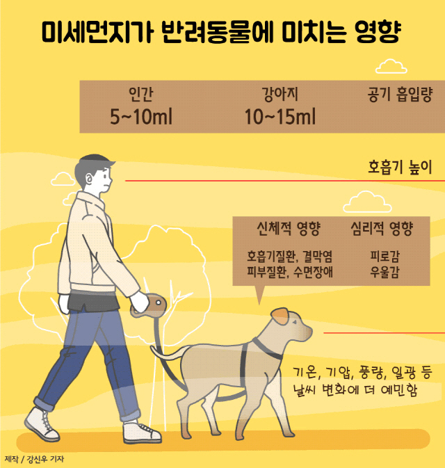 봄철 꽃가루 속에서 산책하는 강아지 모습