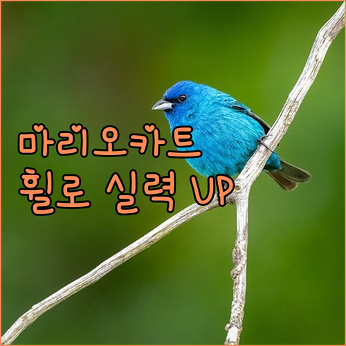 닌텐도 스위치 레이싱 휠로 마리오카트