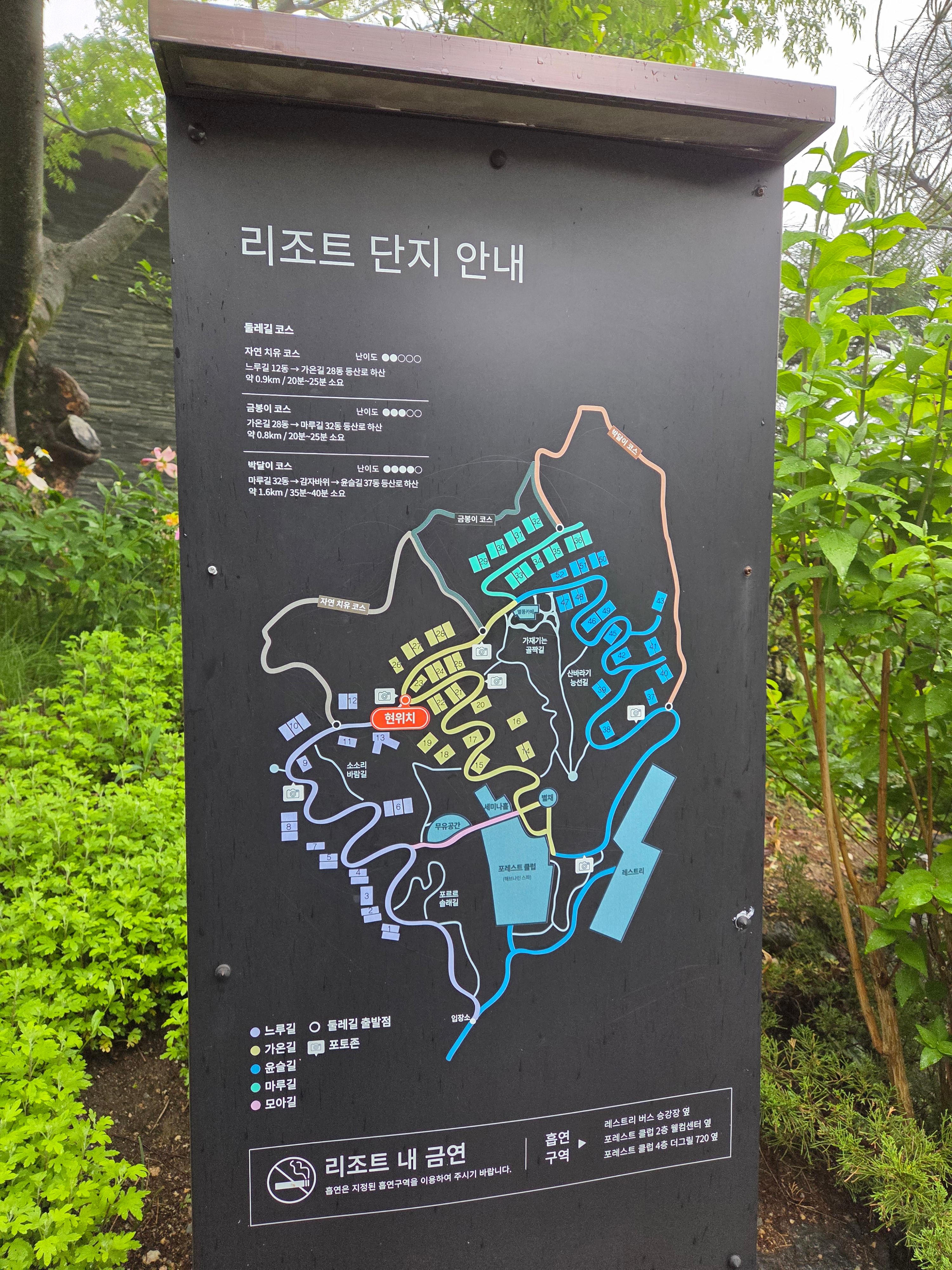 [제천 리솜 포레스트] 2박 3일 힐링 호캉스 완벽 후기