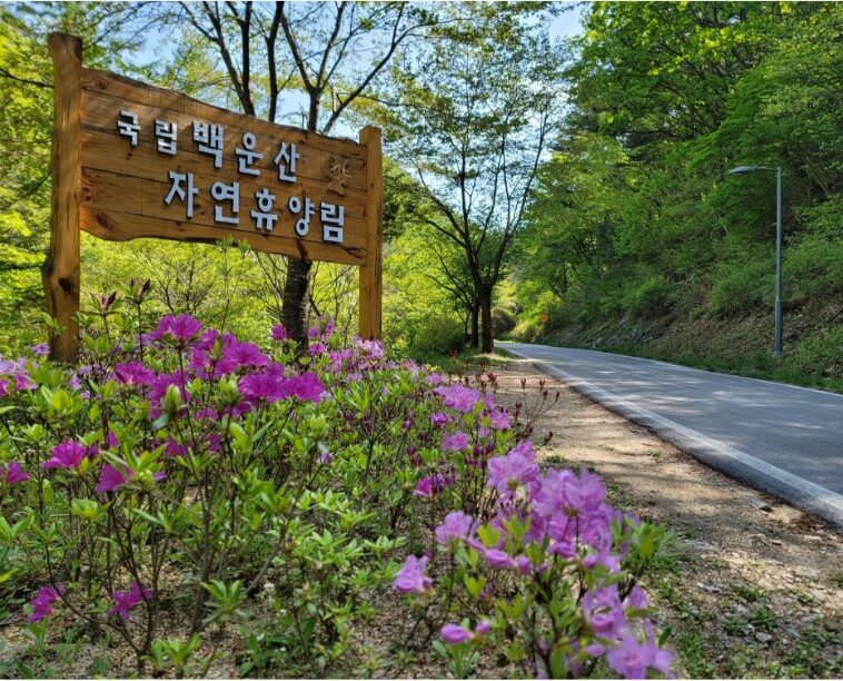 백운산자연휴양림 입구