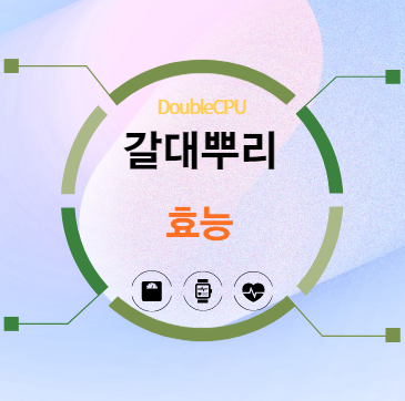 갈대뿌리 효능 탐구