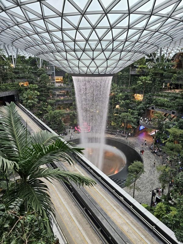 쥬얼창이-시세이도 포레스트 밸리