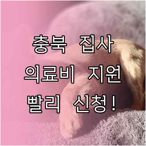 충북 반려동물 등록 가구 의료비 지원..