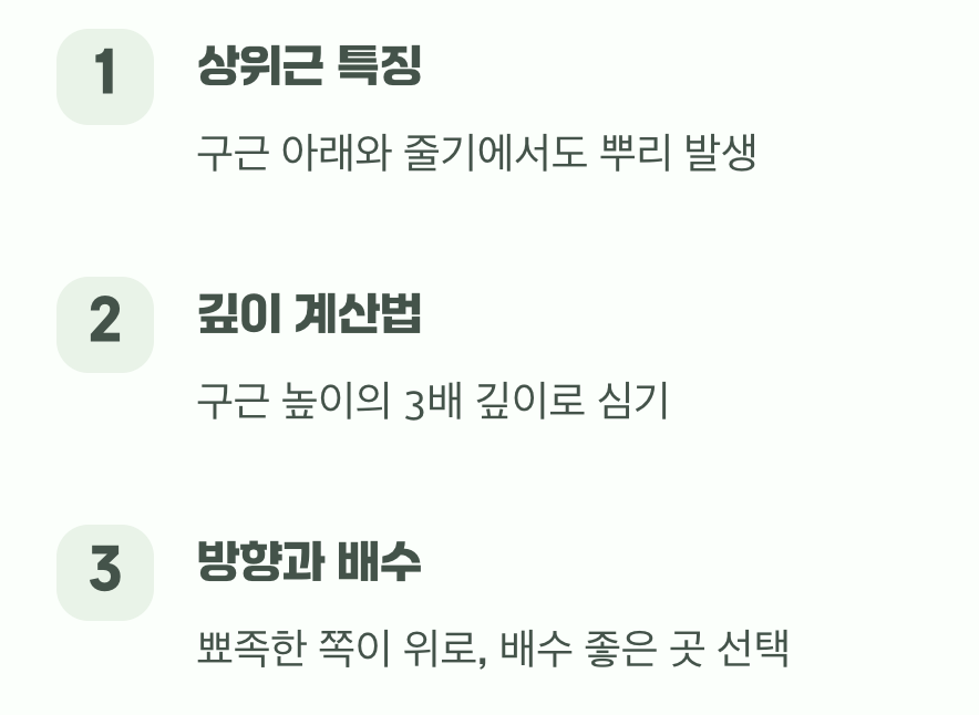 실패 없는 심기&amp;#44; 깊이의 중요성