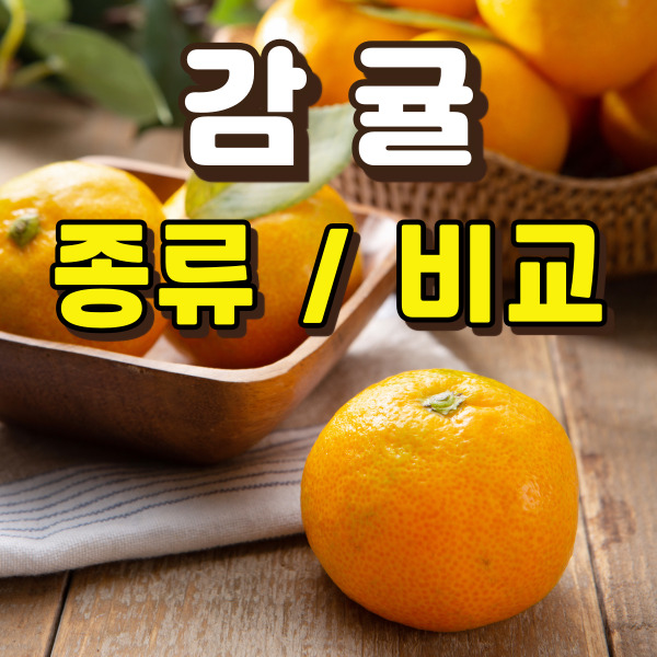 귤이 놓여 있어요.