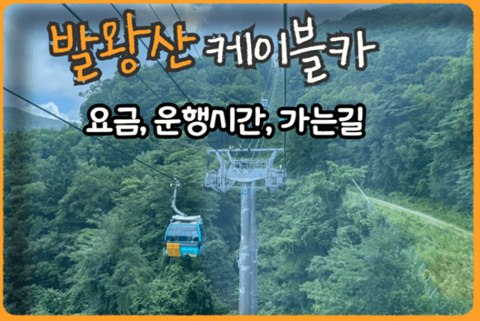 발왕산 케이블카 요금