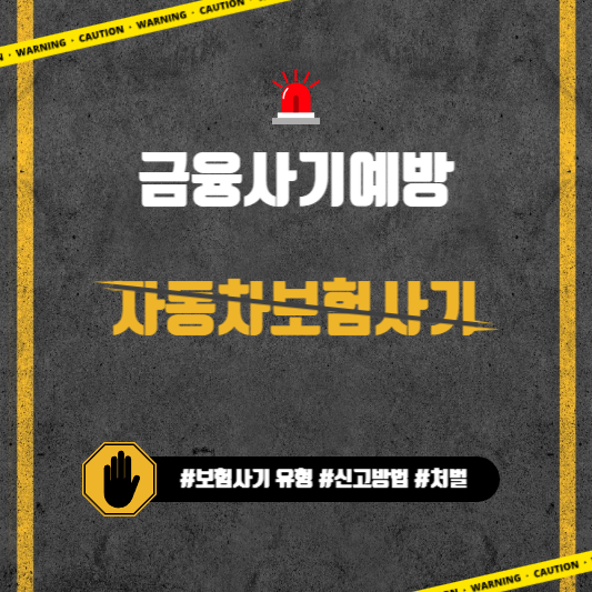 금융사기예방 자동차보험사기 사진