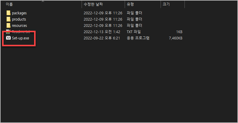 set up file excute