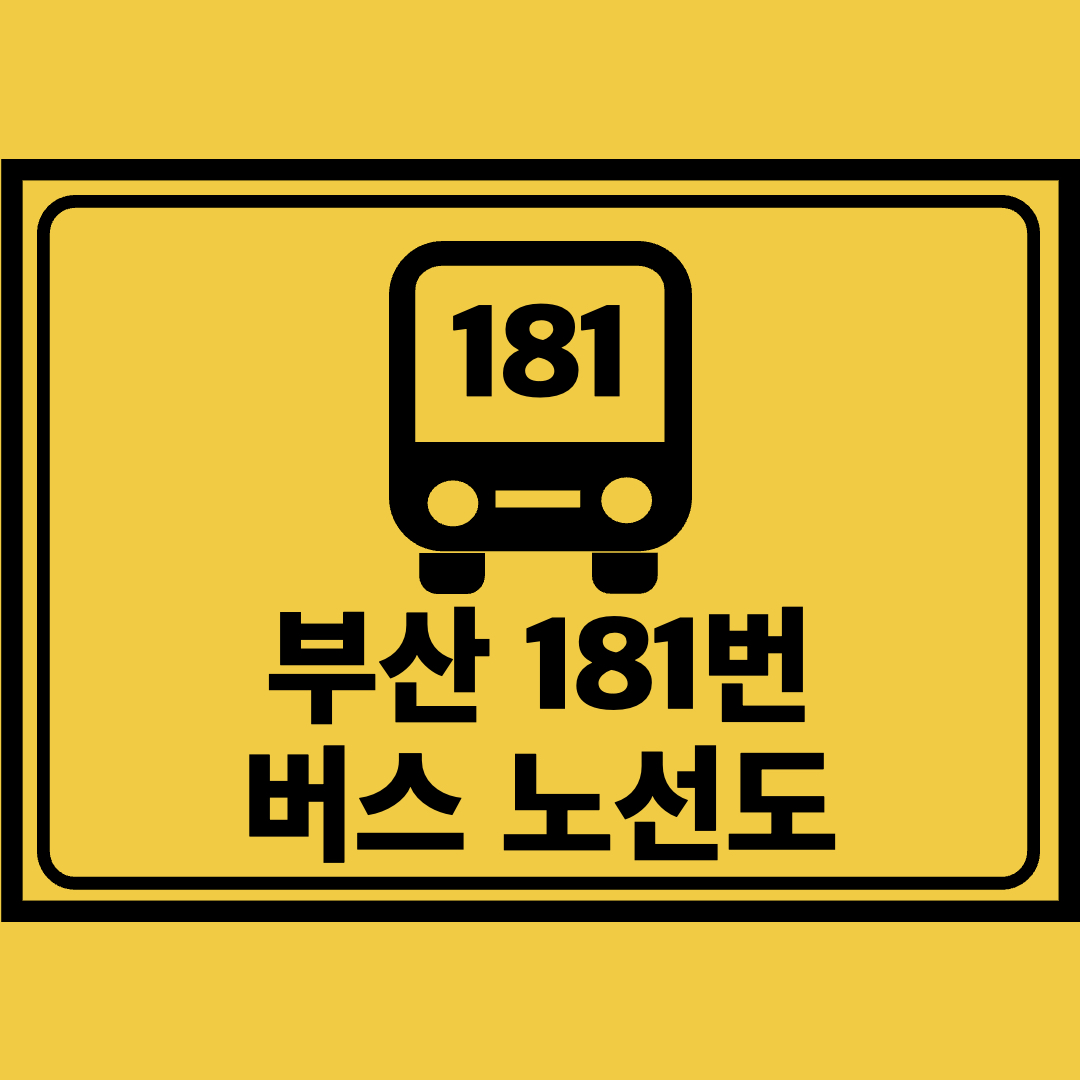 부산181번버스노선도