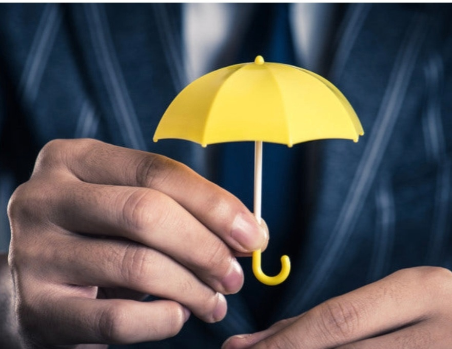 노랑 우산홍보사진