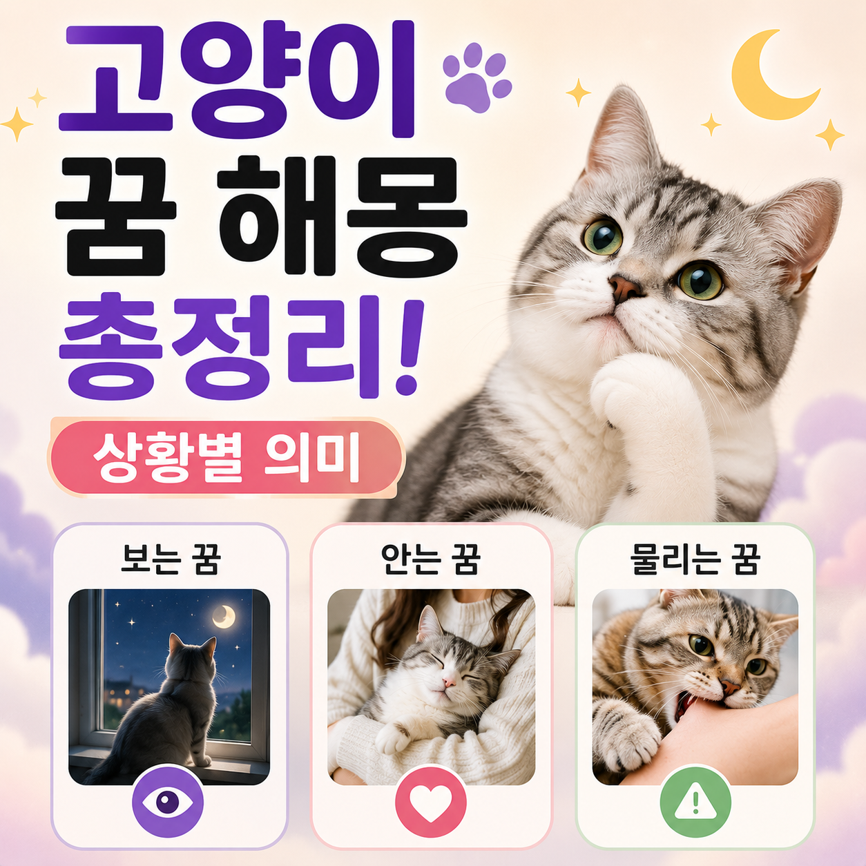 고양이 꿈