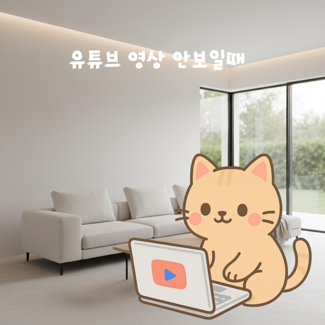 유튜브 해결책