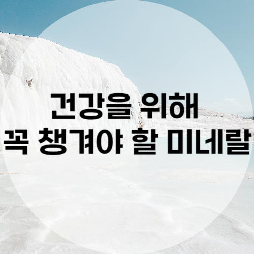 건강을 위해 꼭 챙겨야 할 미네랄