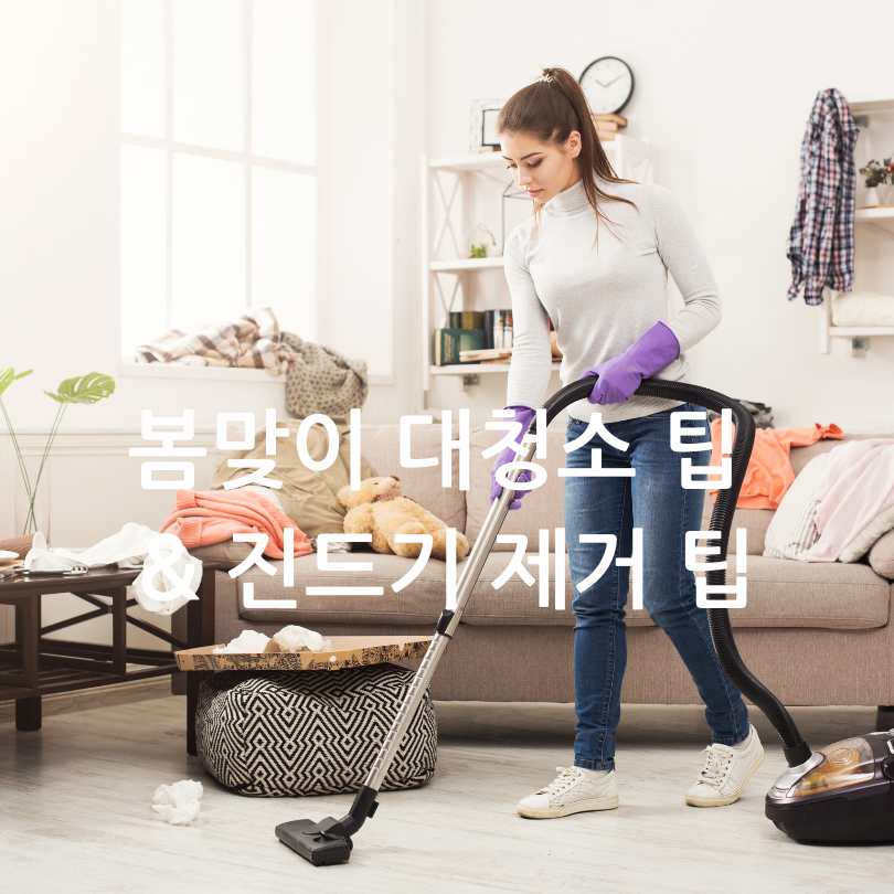 봄맞이 대청소 팁 &amp; 진드기 제거 팁