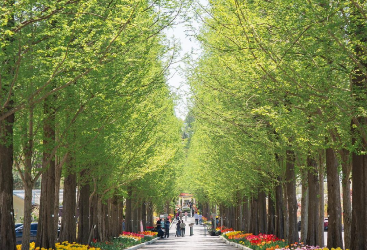 피나클랜드 수목원