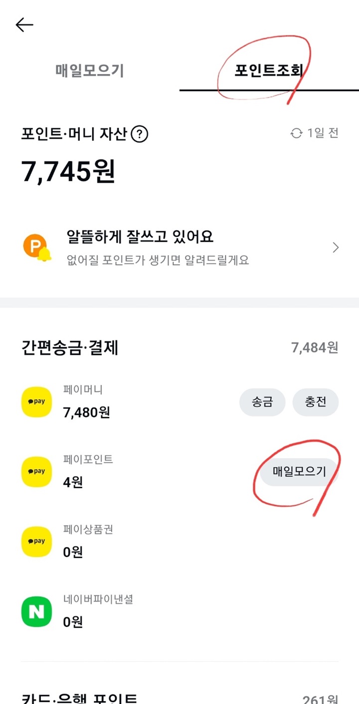 카카오페이-포인트-조회하기