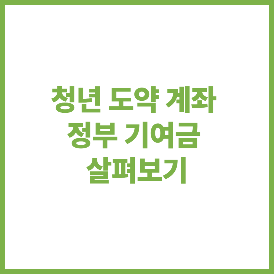 청년 도약 계좌 정부 기여금 살펴보기