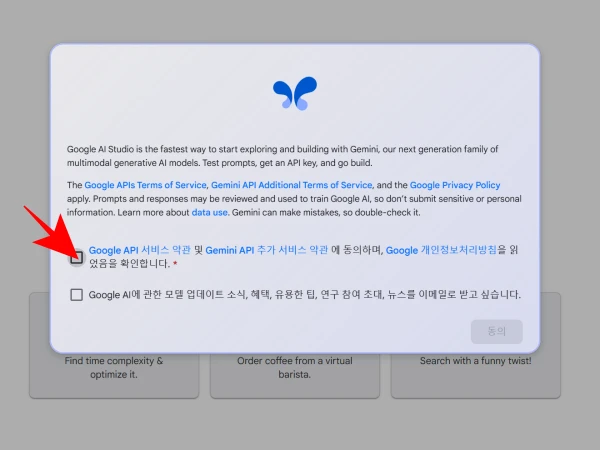 웹사이트-접속