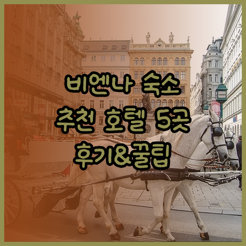 비엔나 숙소 고민 끝! 추천 호텔 5