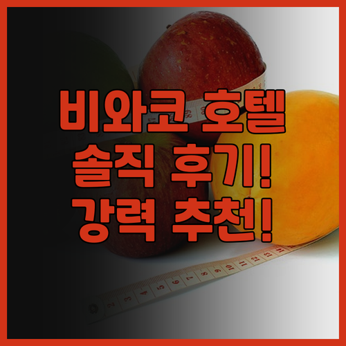 비와코 호텔 솔직 후기! 오쓰 여행객..