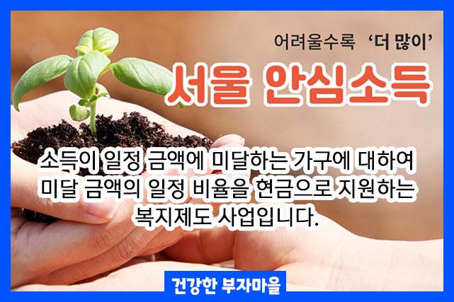 안심소득이란