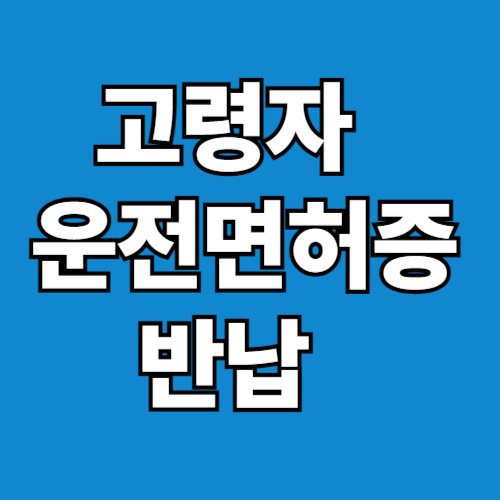 고령자 운전면허증 반납