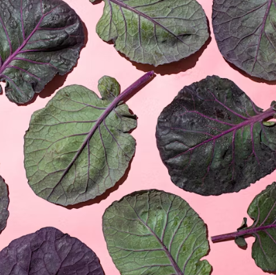 케일 효능과 부작용 고르는법 칼로리