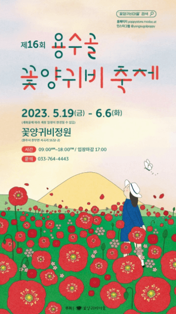 용수골꽃양귀비축제