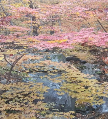 숲나들e 양평 설매재 자연휴양림 국내 여행지 추천 관련사진