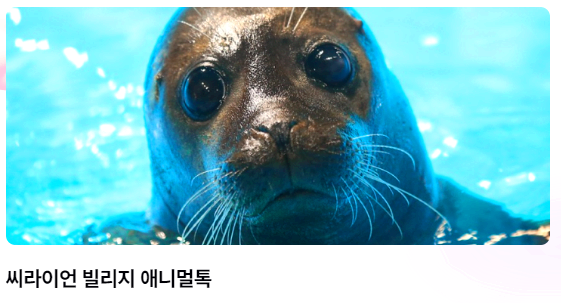 에버랜드