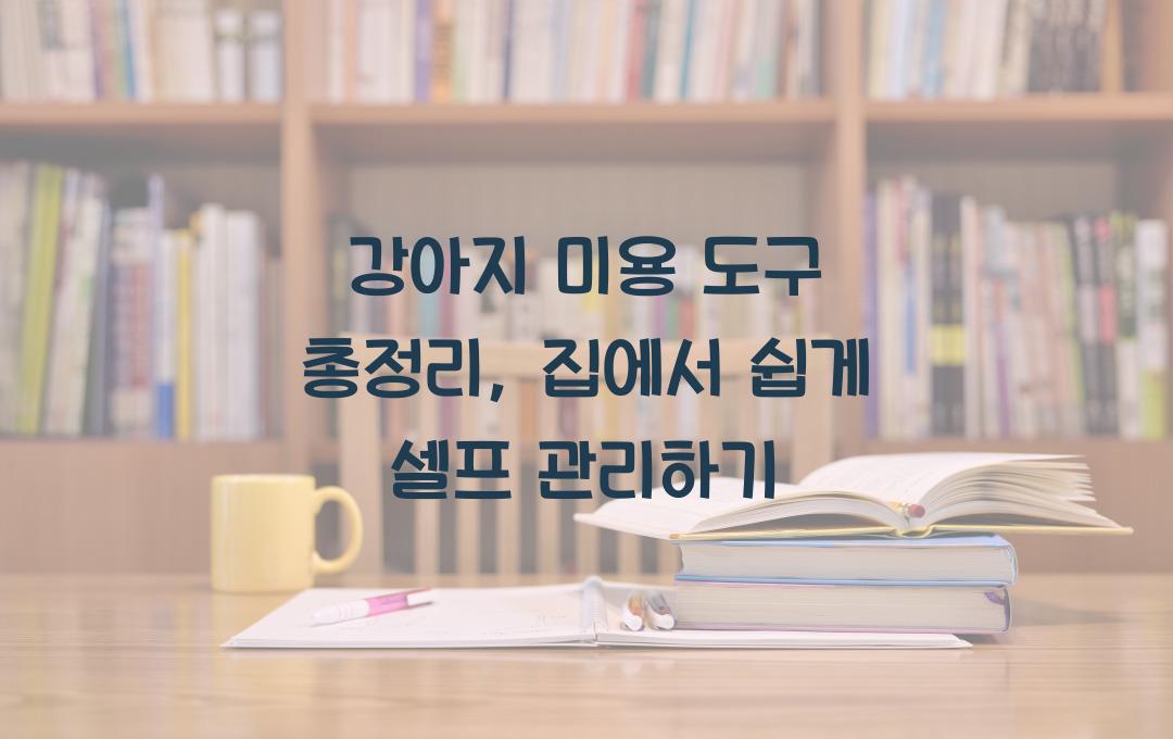 강아지 미용 도구 총정리, 집에서 가능한 셀프 관리