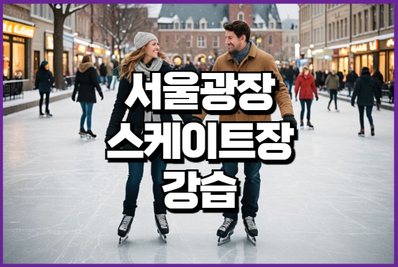 서울광장 스케이트장 강습