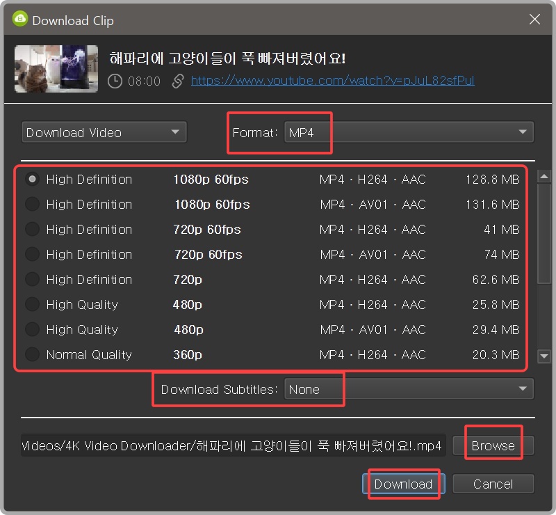 4K videodownloader