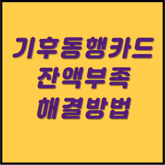 기후동행카드 잔액부족