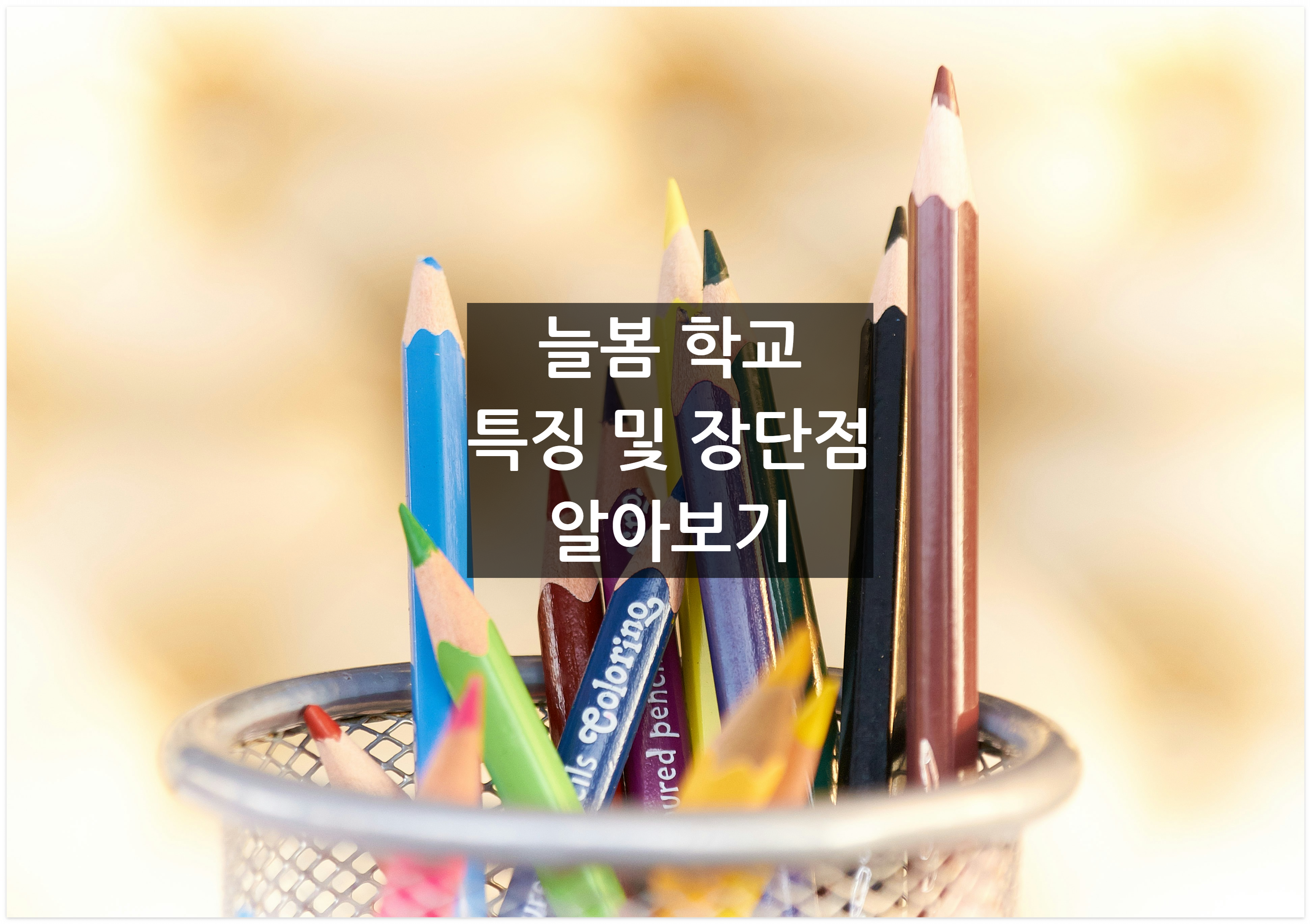 늘봄학교 특징 장단점 알아보기, 필통 색연필 사진