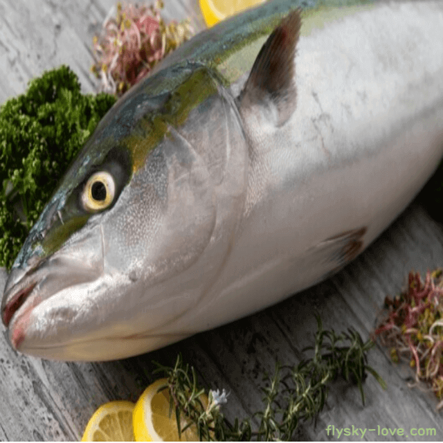 겨울 제철 방어