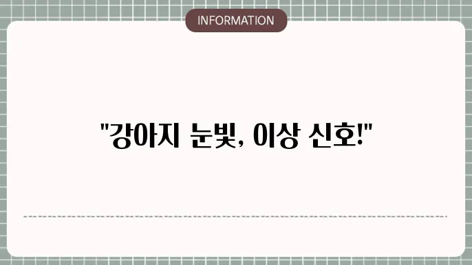 강아지 백내장 증상: 