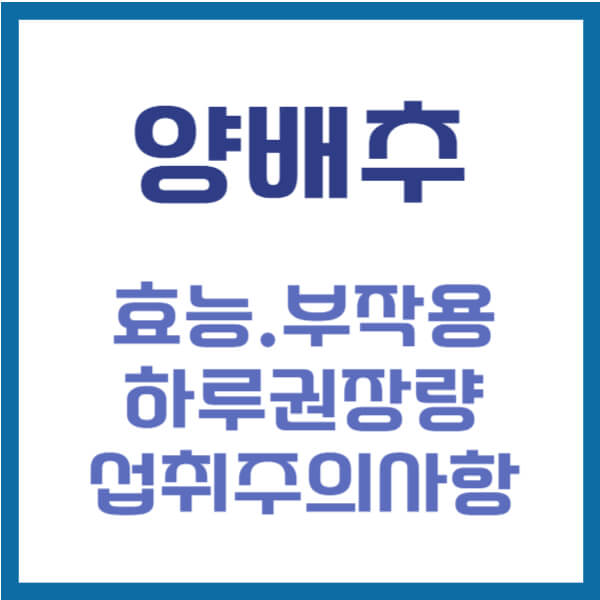 양배추 효능 부작용 썸네일