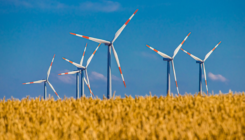 생활속 친환경 실천 방법 5가지