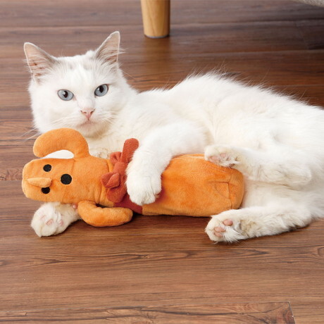 고양이 캣닢 추천