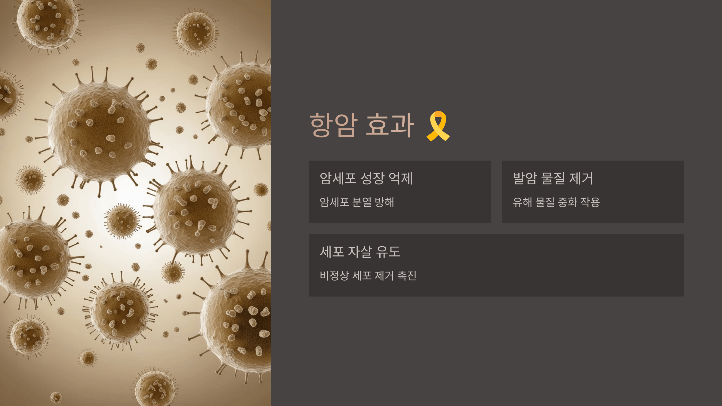 폴리페놀과 관련된 사진입니다.