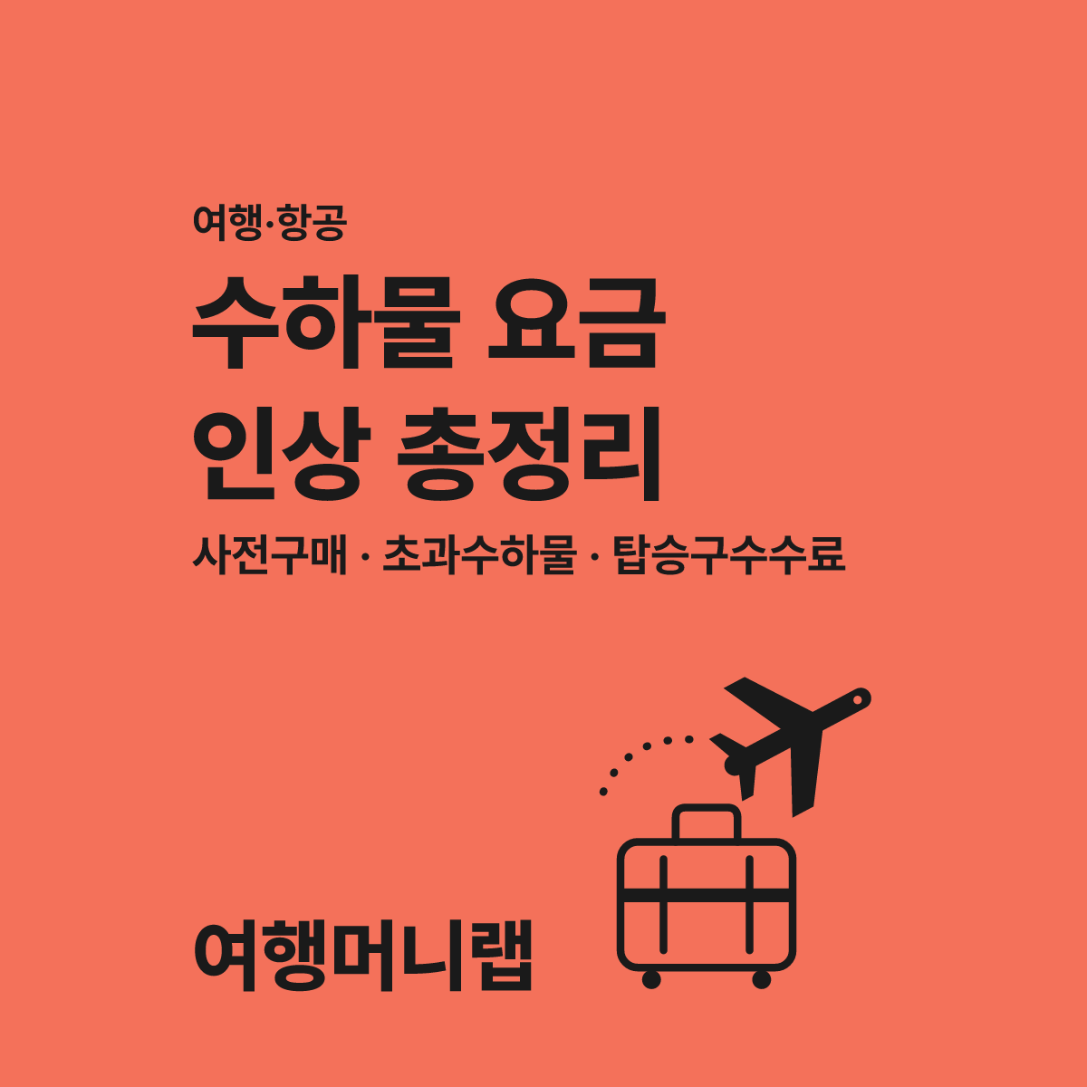 저비용항공사 수하물 요금 인상 시 꼭 확인할 3가지 항목 대표 이미지