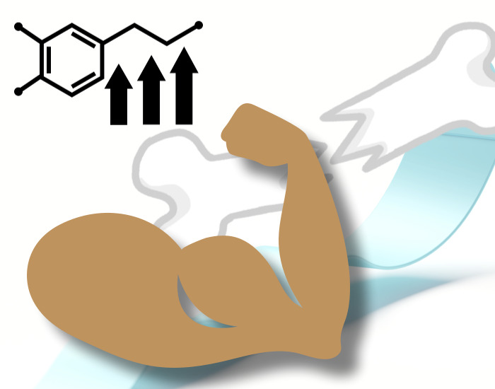 근육 뼈를 표현한 그림