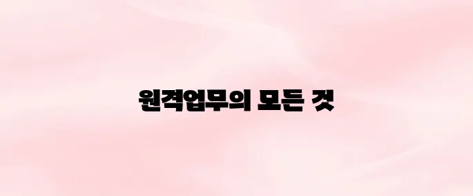 서울시교육청 원격업무포털 (http://evpn.sen.go.kr/)