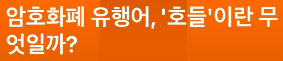 암호화폐 유행어 '호들(HODL)' 유래 의미, 투자 전략 정리