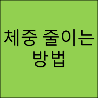 체중 줄이는 방법 썸네일