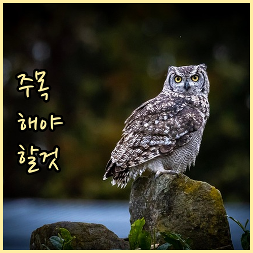 차상위계층 지원 바우처: 자격 조건부..