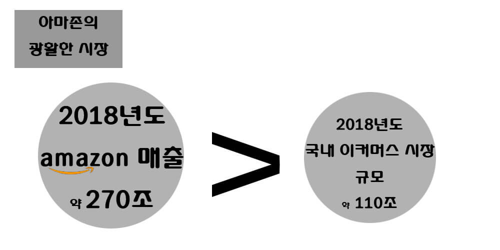 아마존의 광활한 시장
