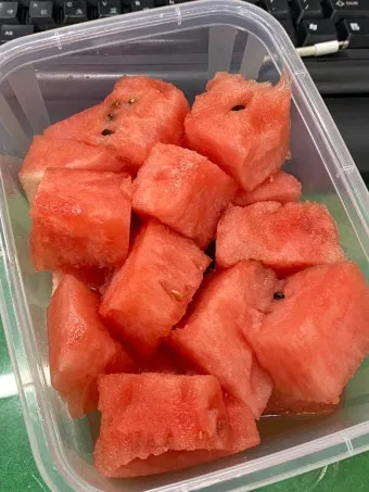 대구 수박껍질 음식물 일반쓰레기 과태료 피하는 법_5