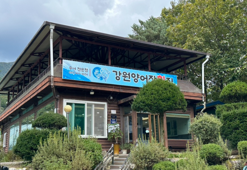 강원양어장횟집